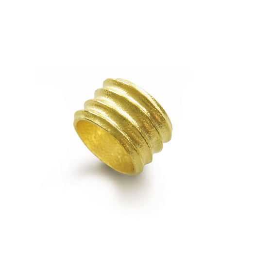 RingGroove AnatGelbard ringgroove-anatgelbard